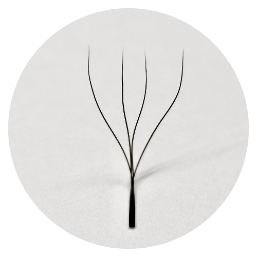 VENTAGLI W/Y 4D  ventagli  pronti