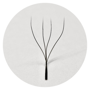 VENTAGLI W/Y 4D  ventagli  pronti