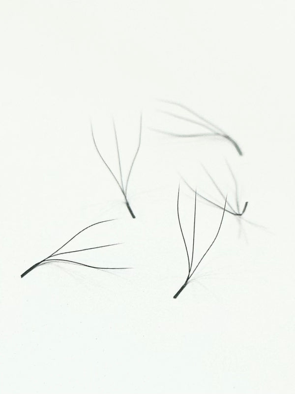 VENTAGLI W/Y 5D  ventagli  pronti