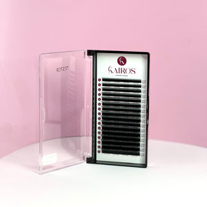 VENTAGLI W/Y 5D  ventagli  pronti